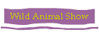Wild Animal Show
